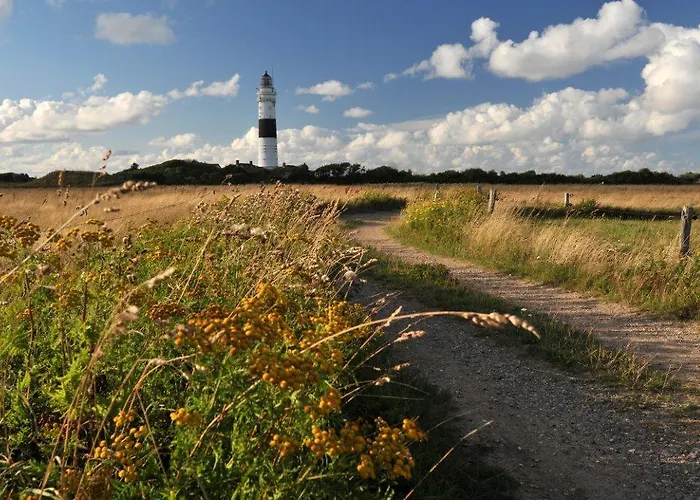 Broens Fen