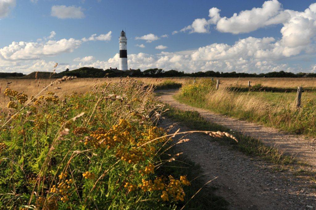 Broens Fen Kampen